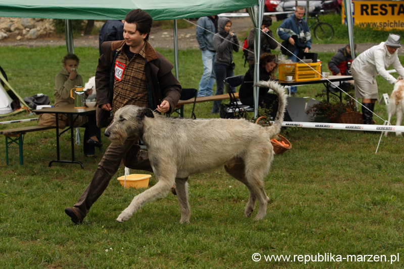 Festiwal Charta 15 XENNO vd Oelmuhle
